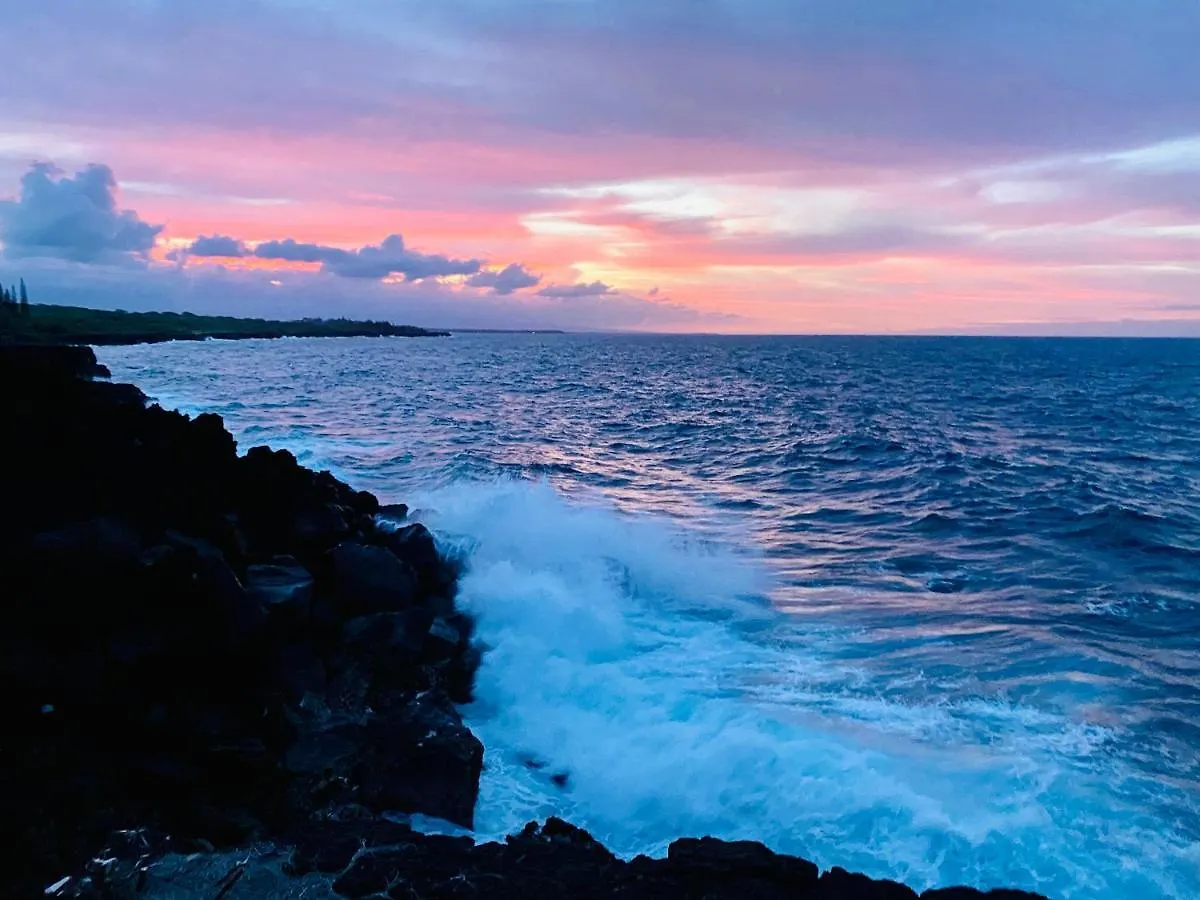 Wild Blue Water Apartment Pahoa 0*,