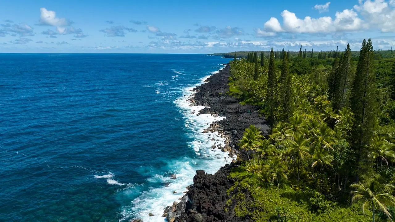 Wild Blue Water Apartment Pahoa