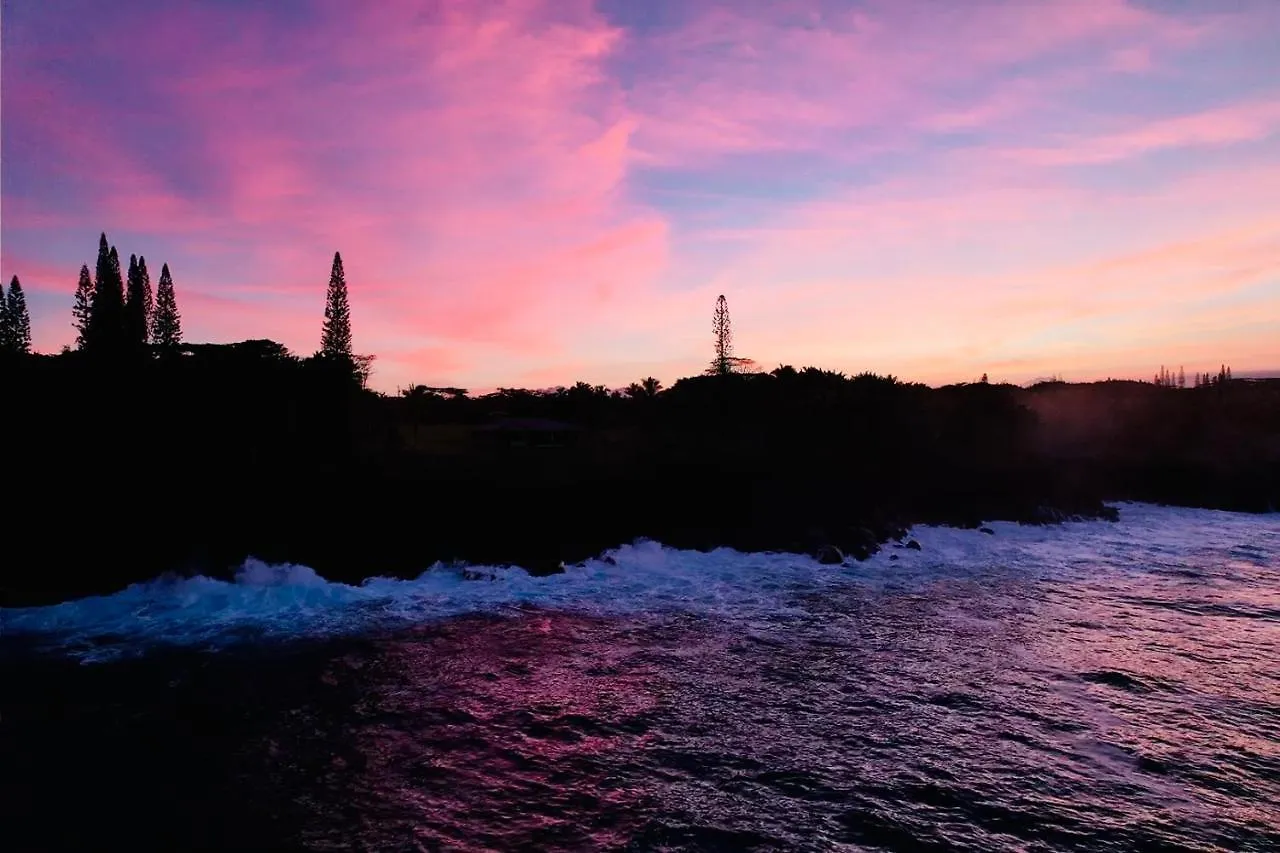 Homestay Wild Blue Water Apartment Pahoa United States